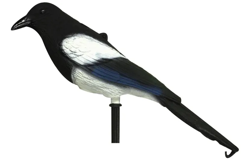 Bisley Magpie with Stake by Sport Plast
